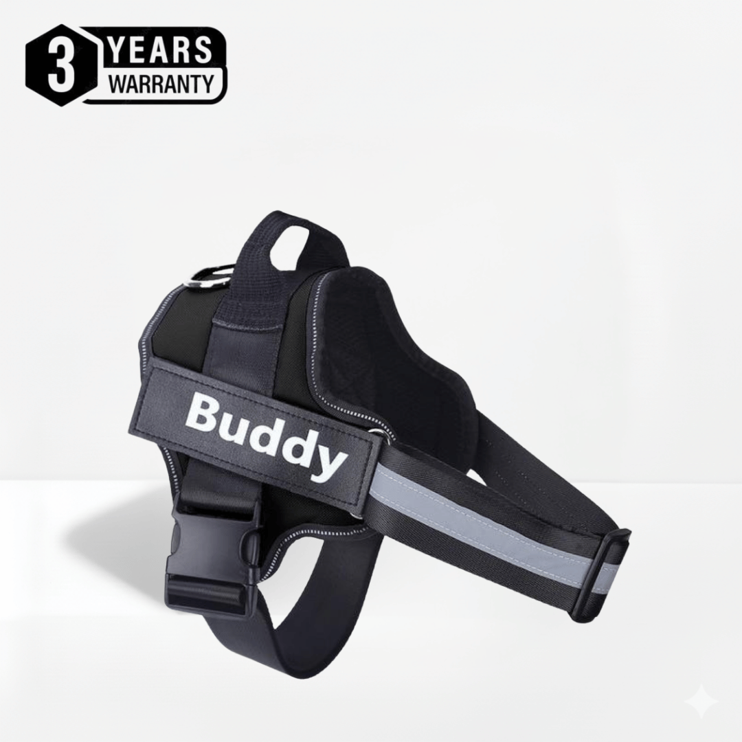 No Pull Dog Harness