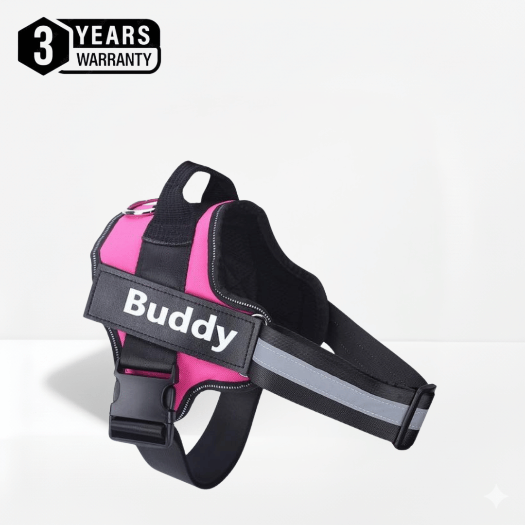 No Pull Dog Harness