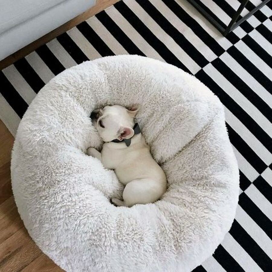 Calming Dog/Cat Bed | Anti Anxiety Dog/Cat Bed