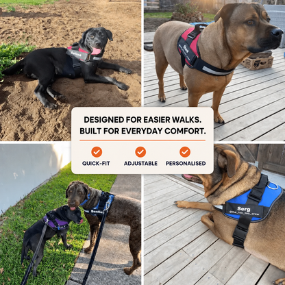 No Pull Dog Harness