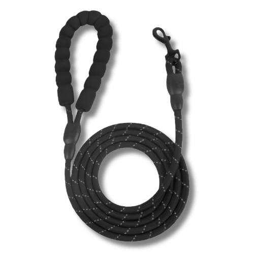 Dog Leash