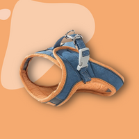 Blue & Orange