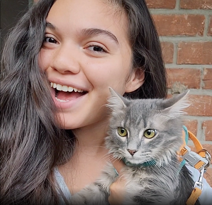 CatExplorer™️ - Cat Harness